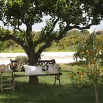 Quinta Baltazar