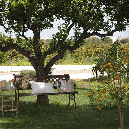 Quinta Baltazar