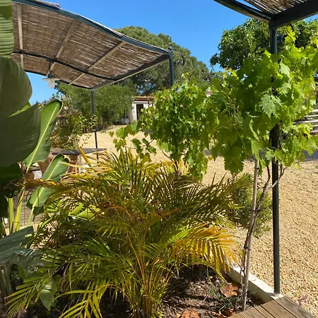 Quinta Baltazar Πανσιόν