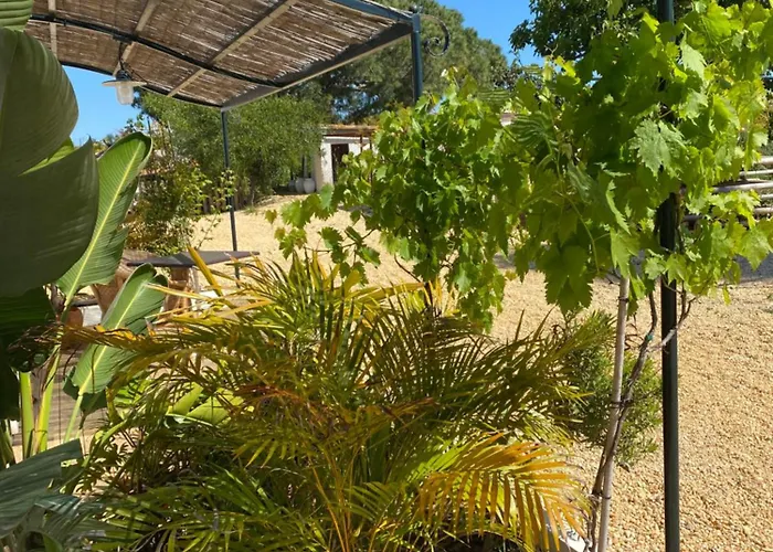 Quinta Baltazar Πανσιόν